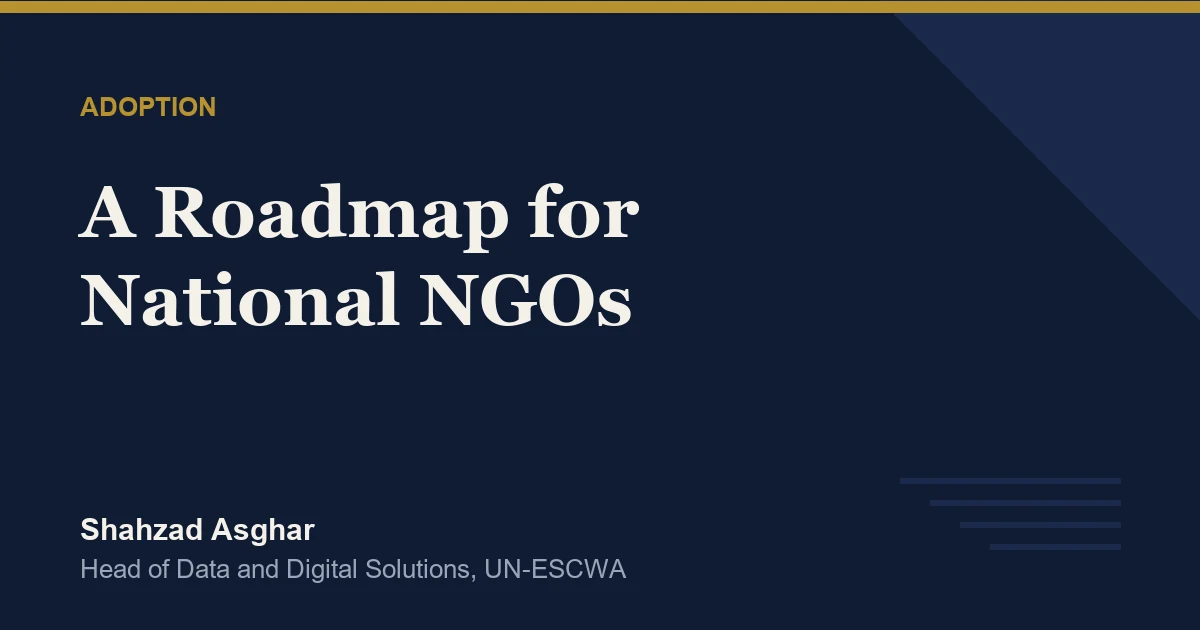 A Practical AI Roadmap for National NGOs